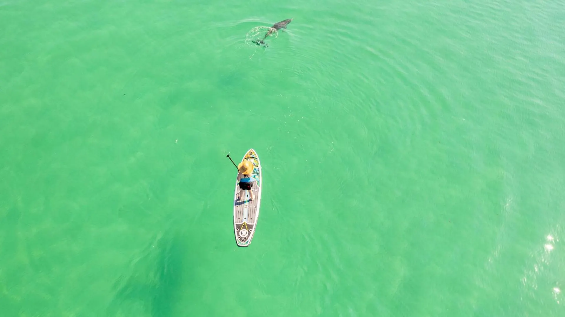 Sandpiper Cove 1125- By Holiday Isle Properties Destin United States