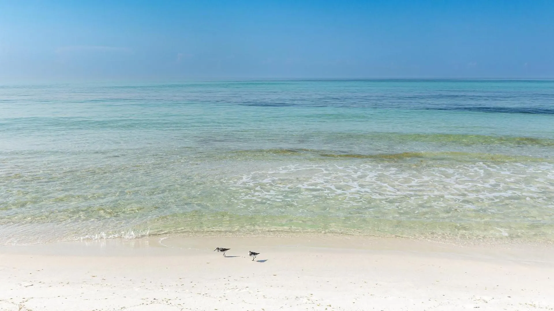 Apartment Sandpiper Cove 1125- By Holiday Isle Properties Destin